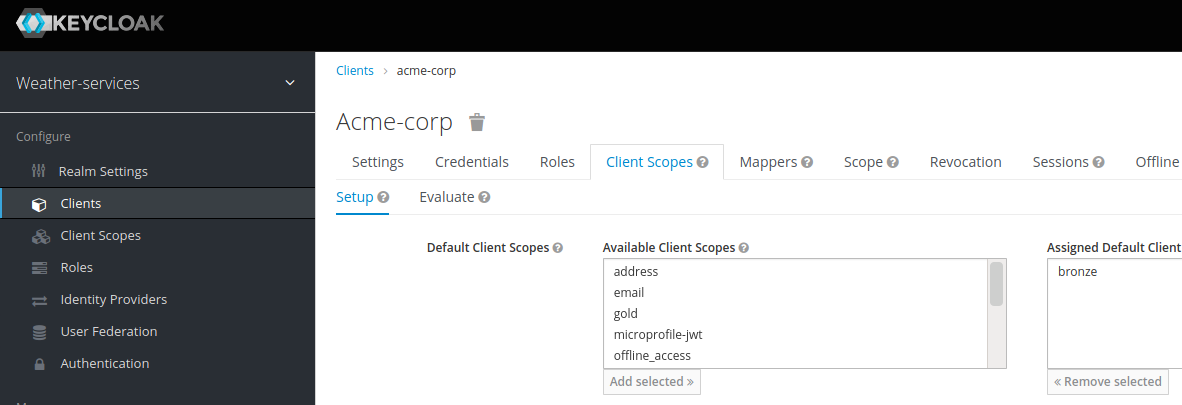 setup client scopes