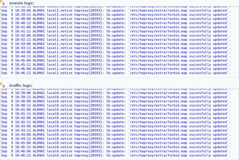 dynamic updates log