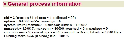 Statistics dashboard process information