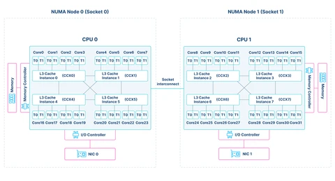 CPU Diagram with 2 NUMA nodes
