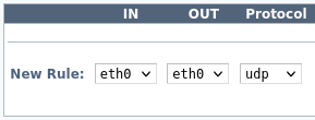 Source NAT for One Interface