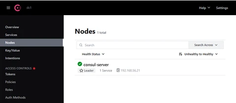 Consul server UI