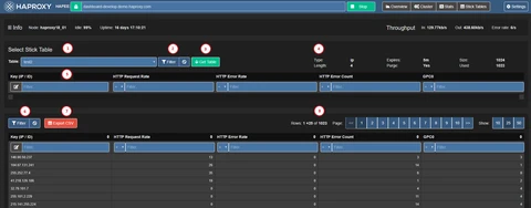 Stick Table Explorer