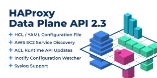 Announcing HAProxy Data Plane API 2.3