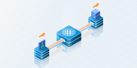 image haproxy and mtls authentication