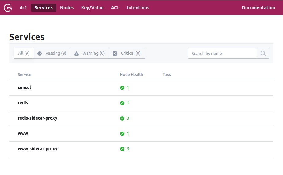 consul dashboard