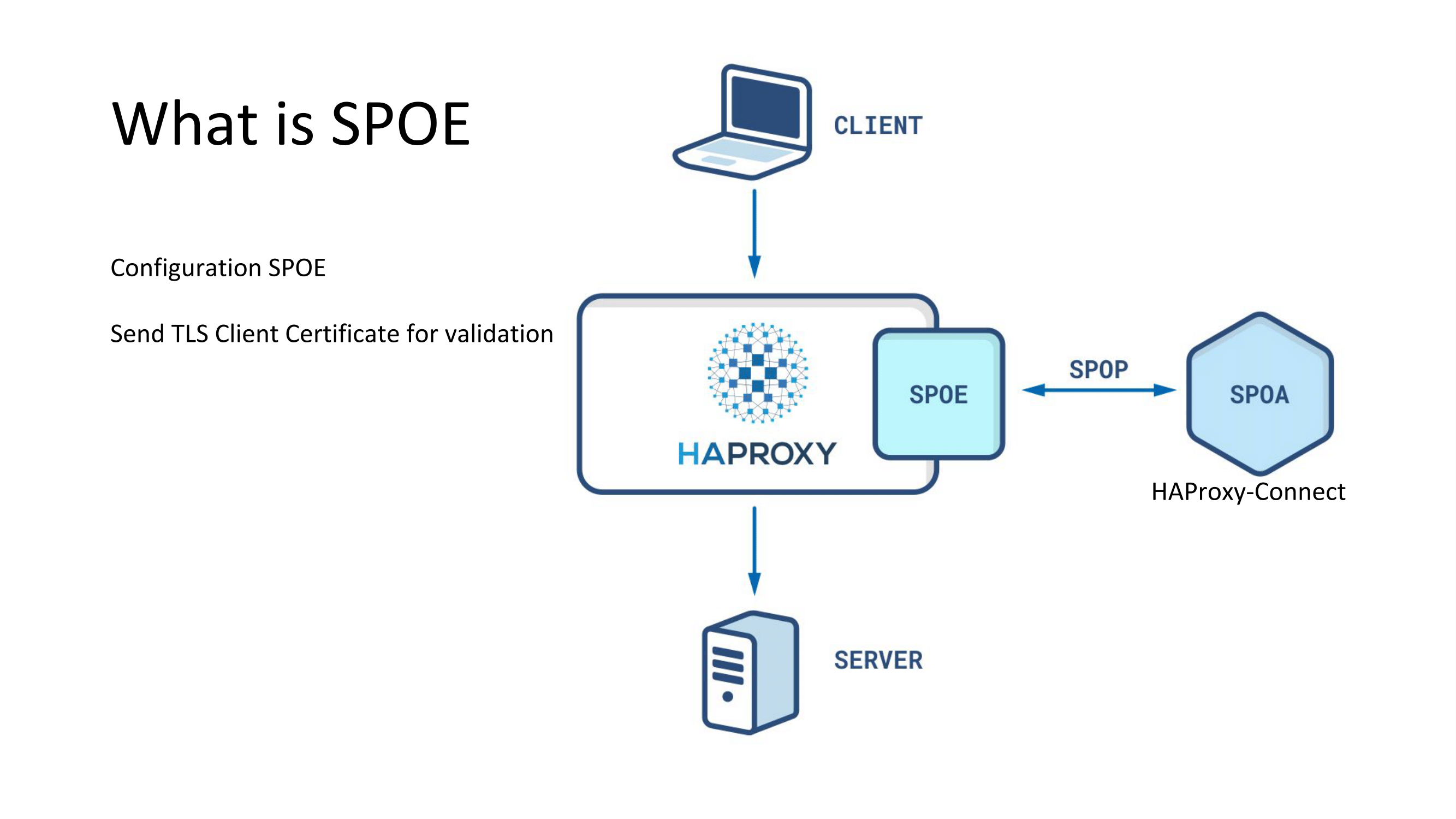 haproxyconf2019_building a service mesh with consul and haproxy_pierre souchay_28